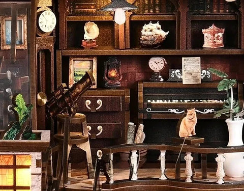 Biblioteca con piano y gato